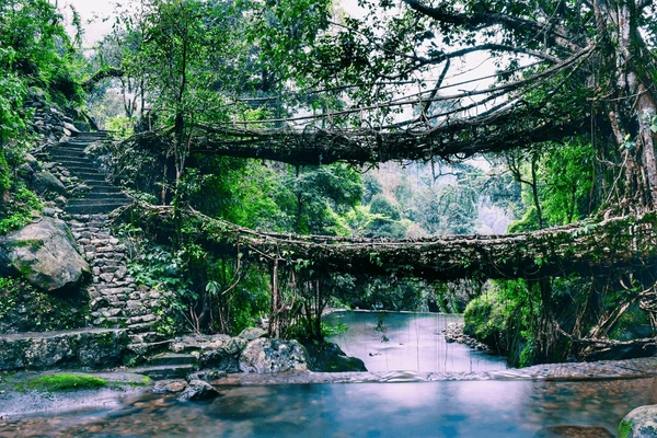 Double Decker Bridge